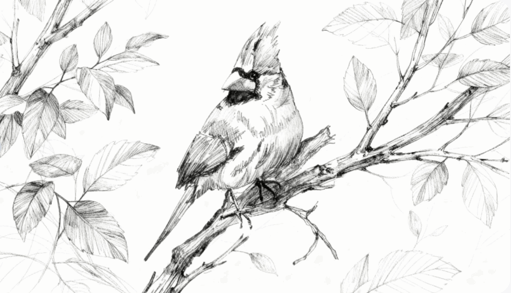 Capture Everyday Life in Sketch Form with VisualGPT Photo to Sketch