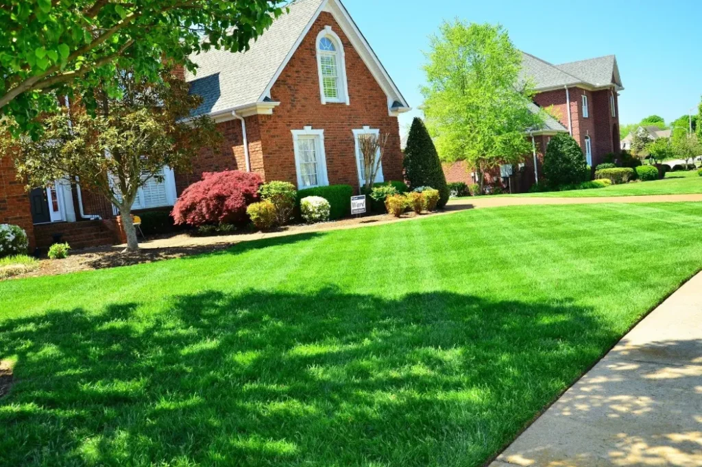 Why Your Northeast Yard Needs Professional Care This Season